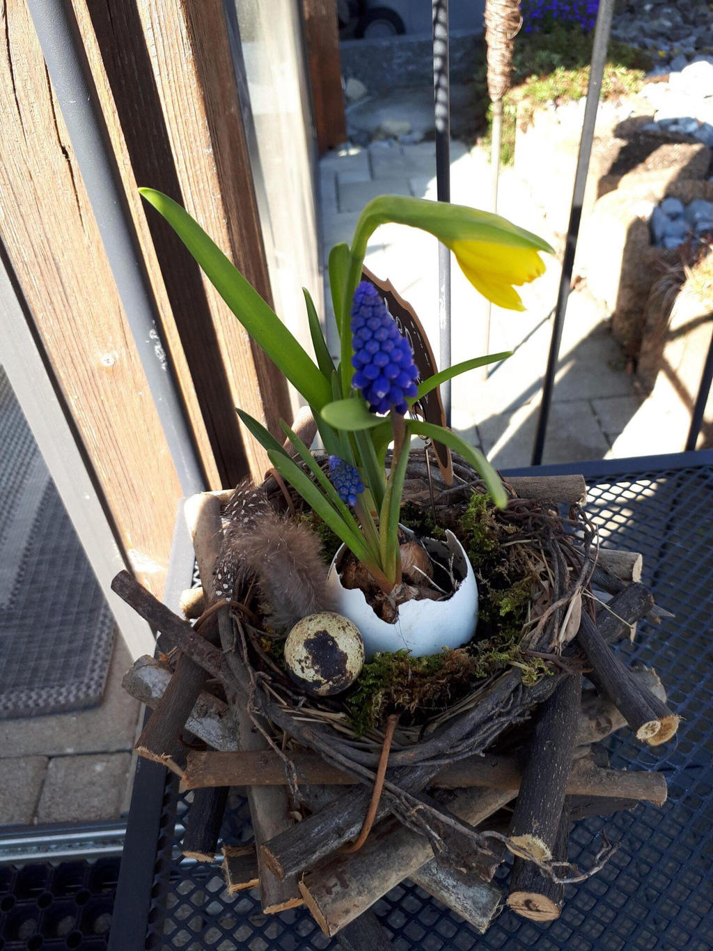 Österliches Gesteck mit Nest, Muscari und Tulpe